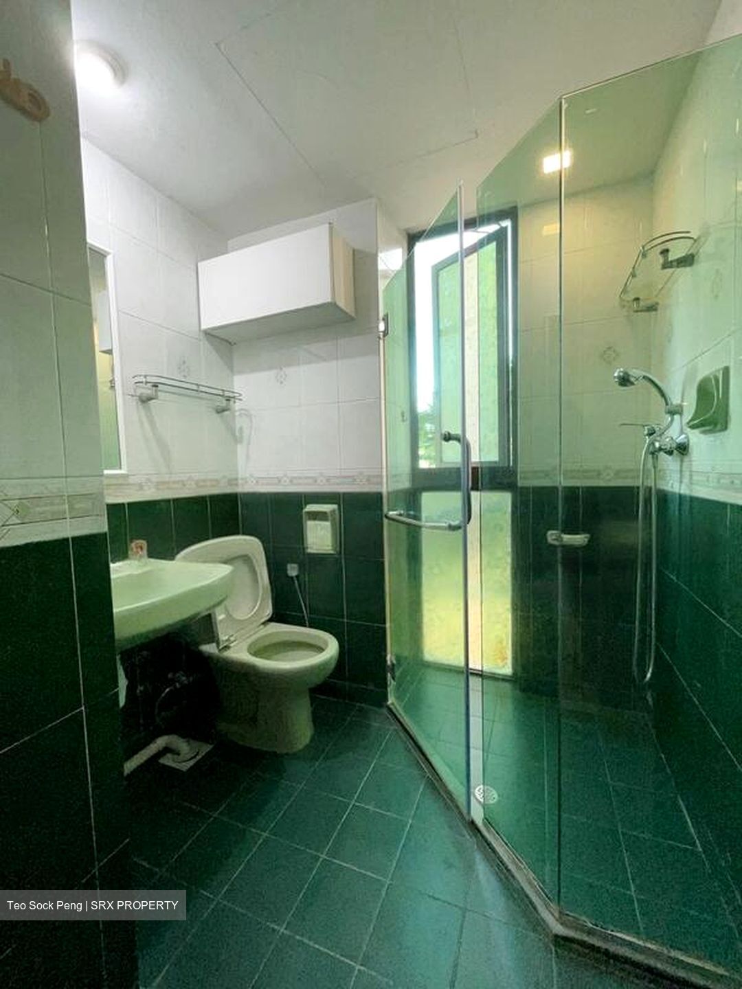 The Tanamera (D16), Condominium #459682191
